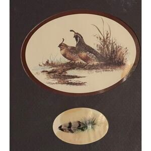 Quail Print Feather Royann H. Baum Framed California Game Birds Hunter READ